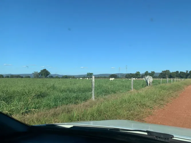 Fazenda de arrendamento 1.500hec em Barra do bugre MT.  Argila 23% acima
