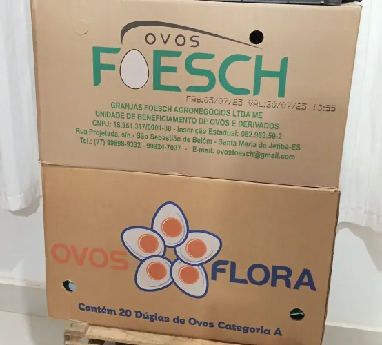 Caixas de papelão para mudança