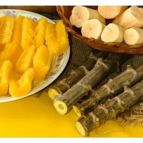 Rama mandioca amarela