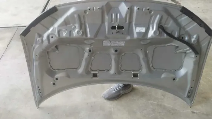 Capo Civic 2012 com detalhes