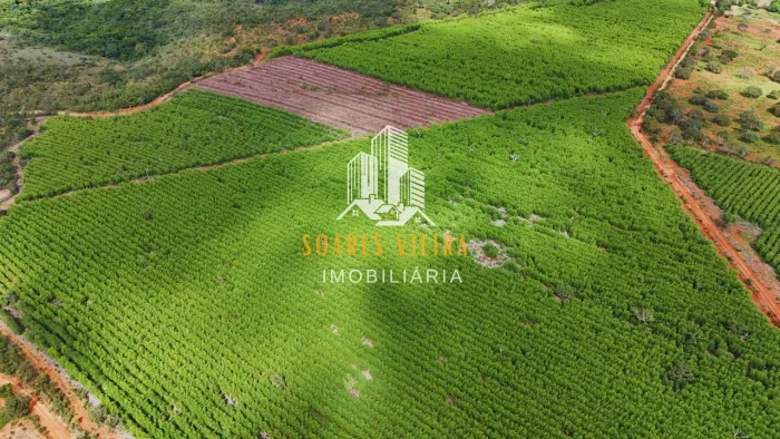 Fazenda com 280 hectares (sendo 80 hectares de Eucalipto) à Venda em Cordisburgo-MG