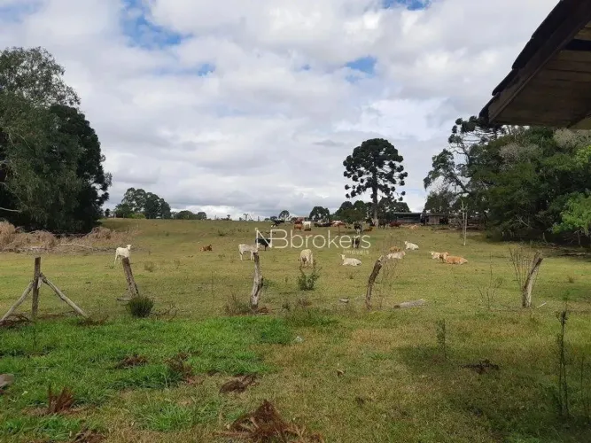 Chácara à venda, 43000 m² por R$ 990.000,00 - Centro - Araucária/PR
