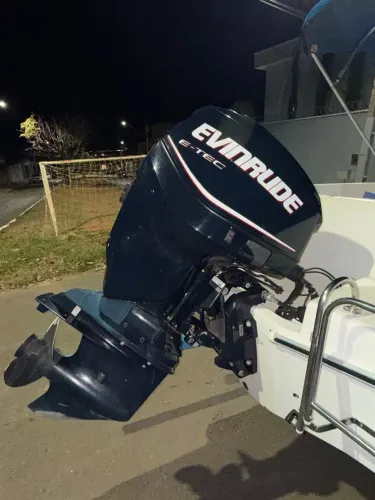 Vendo lacha fly fish 190 Motor de Popa Evinrude E-TEC 115