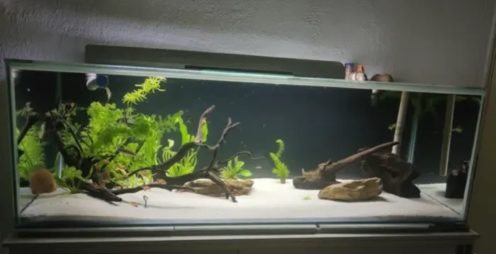 Aquário com móvel 500L + Sump 250L