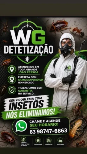 Detetização