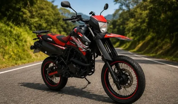 Lander XTZ 250X Motard Excelente Estado
