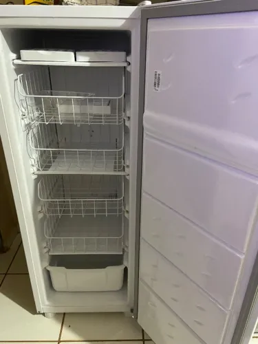 Freezer vertical