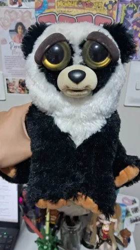 Feisty pets panda black belt bobby nico nocaute 2016 