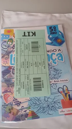 Livro Líder em mim