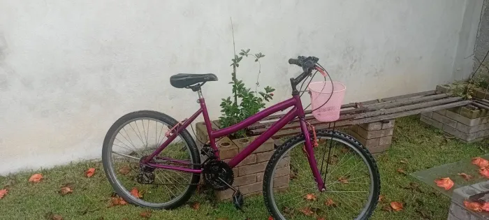 Bicicleta Feminina