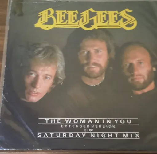 Lp Bee Gees- the wonan in you - 12" uk