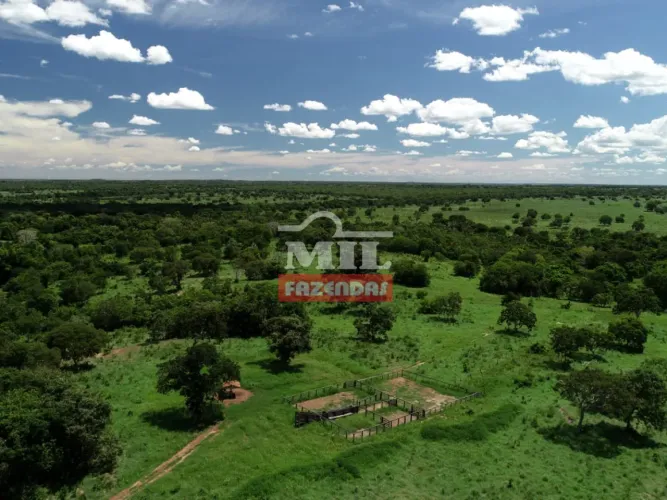 Fazenda 50 alqueires (242 hectares) São Miguel do Araguaia - Go