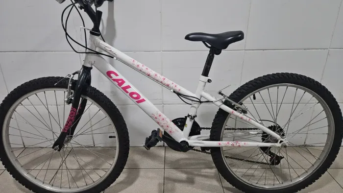 Bicicleta Cecí Aro 26