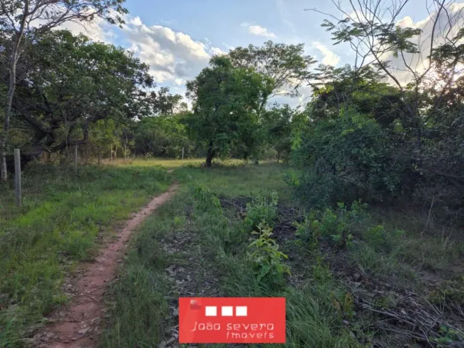 Fazenda para Venda em Manga
