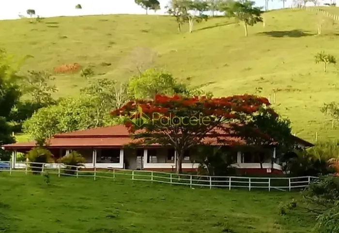 Sítio à Venda - 36.000m² com Casa de 273m² - Próximo à Cachoeira Grande, Ideal para Moradi