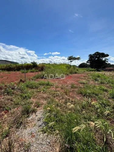Lote ( Braulyo)