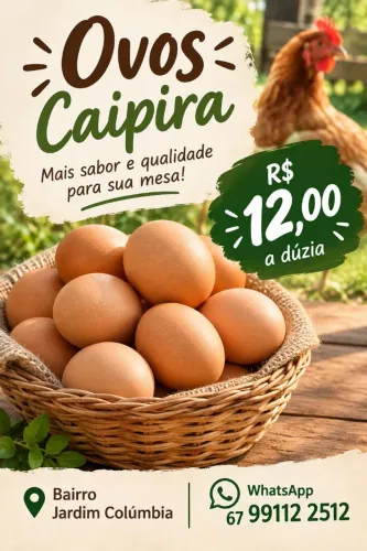 Ovo de galinha caipira (galados) e para consumo