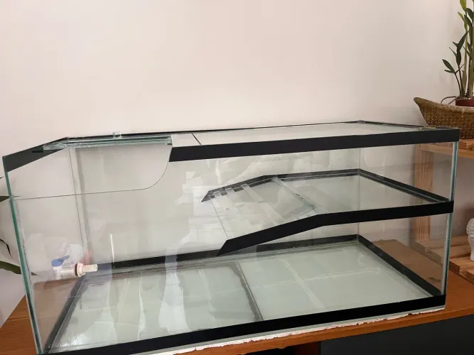 Aquaterrario para tartaruga 60 litros