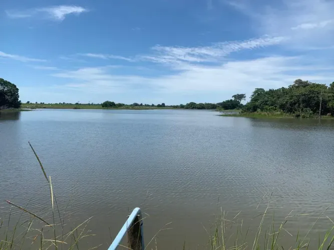 Fazenda em lavoura a venda Jussara - GO.