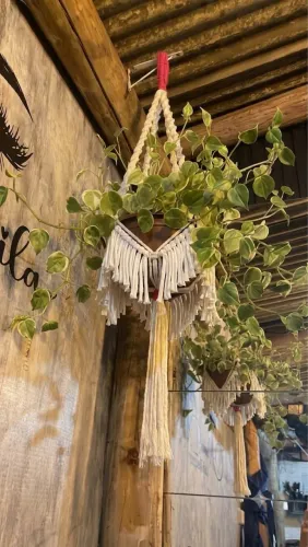 Suporte de plantas macrame