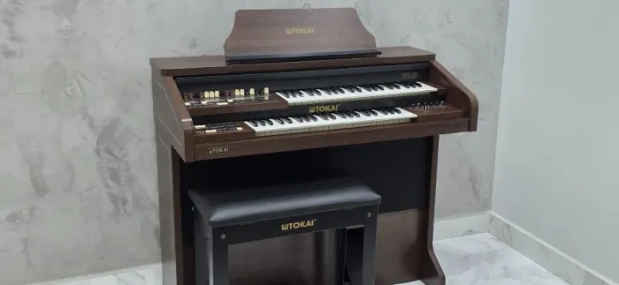 tokai md20 impecável