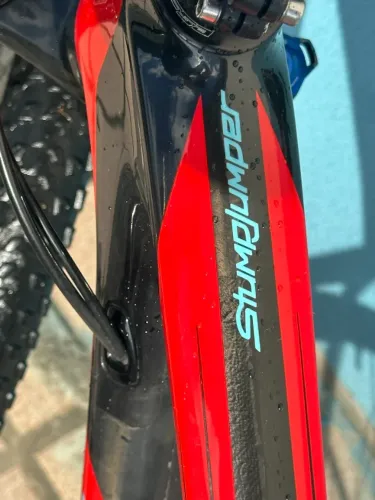 Specialized Stumpjumper World Camp carbon