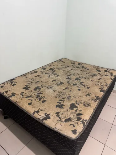 Cama