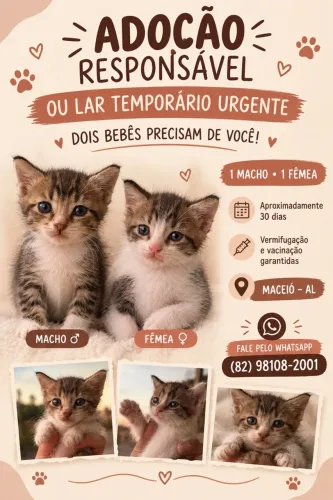 Adoção responsável ou lar temporário