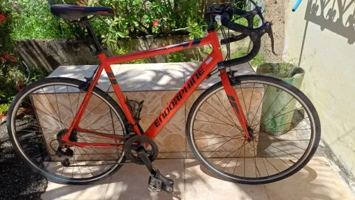 Speed Endorphine 