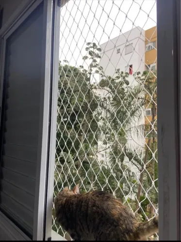 Redes de proteção, proteja quem você ama !