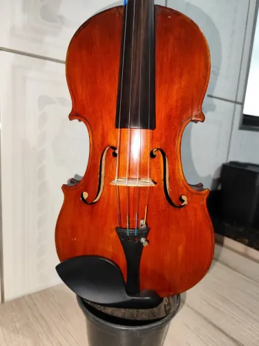 Violino francês