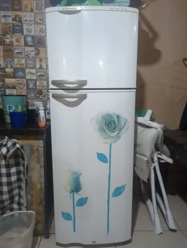 Geladeira Eletrolux Double system DC 39