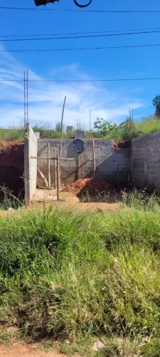 Lote francisco morato