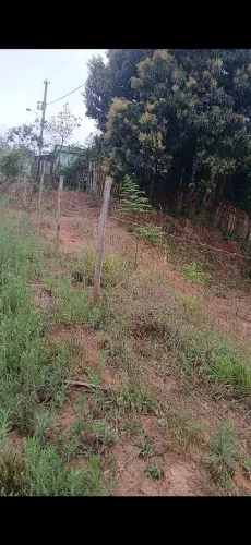 Lote - Terreno em Jeceaba-MG