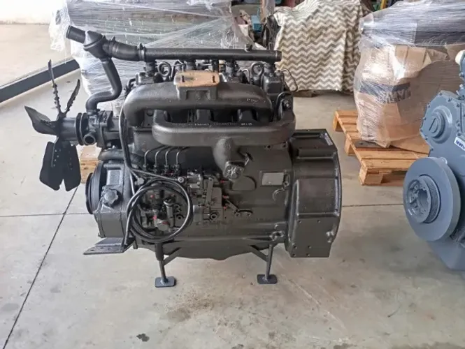 Motor MWM D229/4