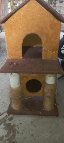 Casa de Gato 