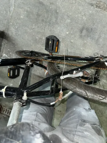 bike wendy carbon steel 