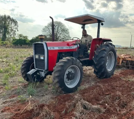 Trator Massey Ferguson 292 financiado a venda