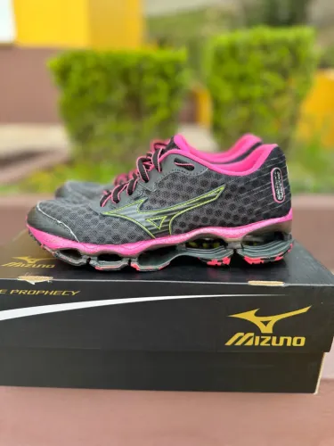 Mizuno wave prophecy 4