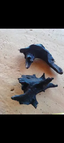 Tronco pra aquario