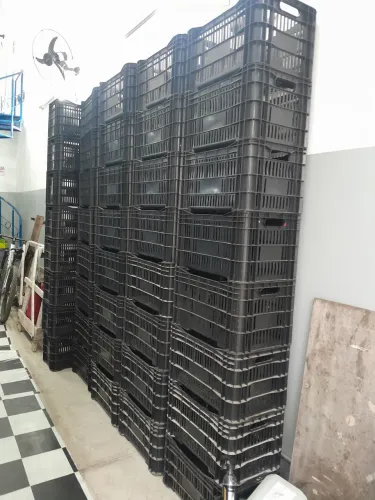 Caixa plástico horticultura 52litros praticamente nova 40 peças