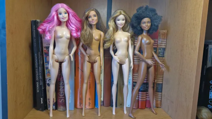 Barbie Fashionistas lote V