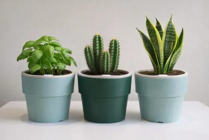 Três vasos autoirrigáveis (2 verde-claro, 1 escuro) usados e conservados (marca OU)