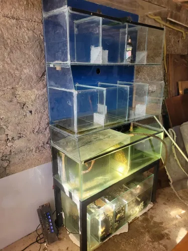 Bateria de aquário