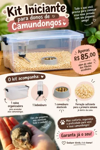 Lindos Camundongos filhotes