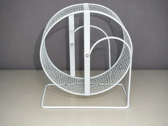 Roda de exercícios para HAMSTER