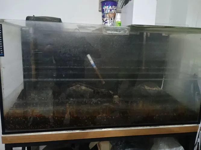 Aquário 200 litros