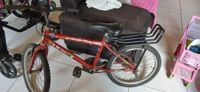 Bicicleta Aro 24