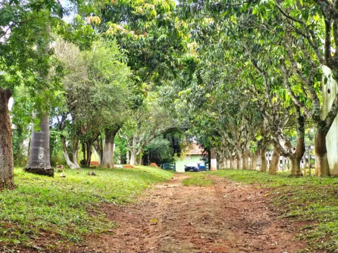 Sítio : / Rural / Bairro do Rio abaixo
