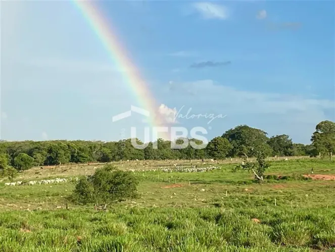 Fazenda dupla aptidão - com 28,5 alqueires - Bom Jardim de Goiás - Escriturada e Atualizad
